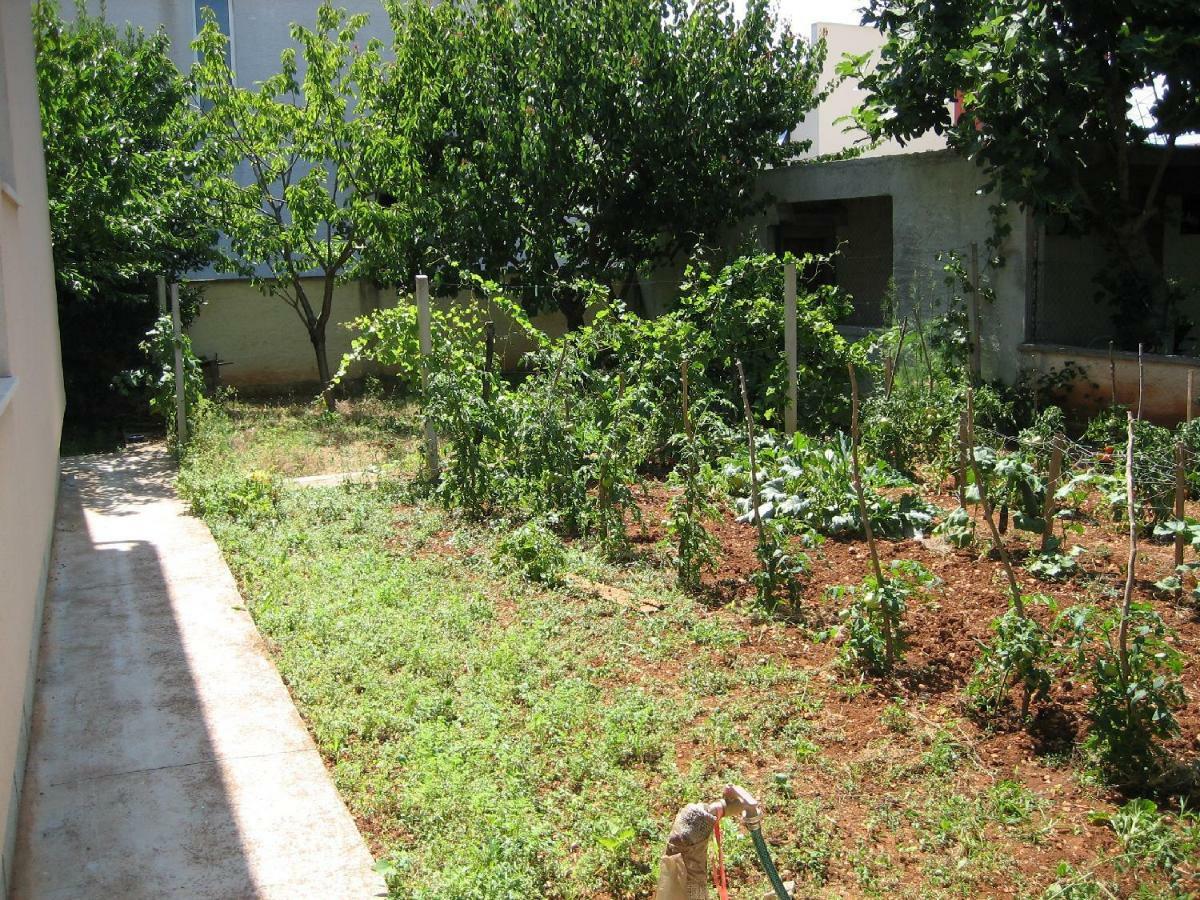 Tihi Apartman ซาดาร์ ภายนอก รูปภาพ